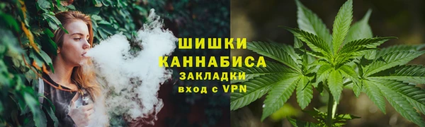 дмт Белокуриха
