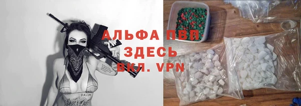 прущие грибы Белоозёрский