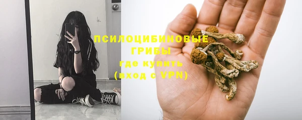 бошки Богородск