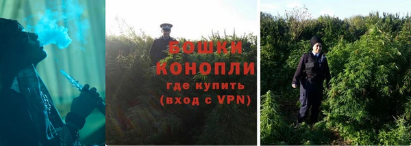 бошки Богородск