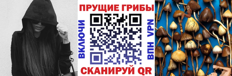 Галлюциногенные грибы GOLDEN TEACHER  Белёв 